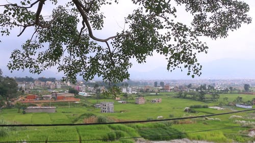 有关人, 优美的风景, 农业用地的免费素材视频