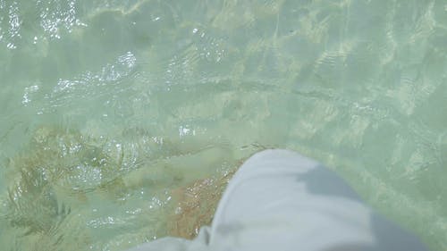 有关人, 假期, 尺的免费素材视频