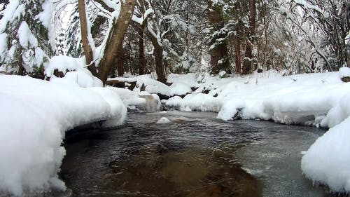 有关@户外, 冷, 冷静的免费素材视频