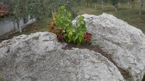 有关天性, 岩石, 户外的免费素材视频