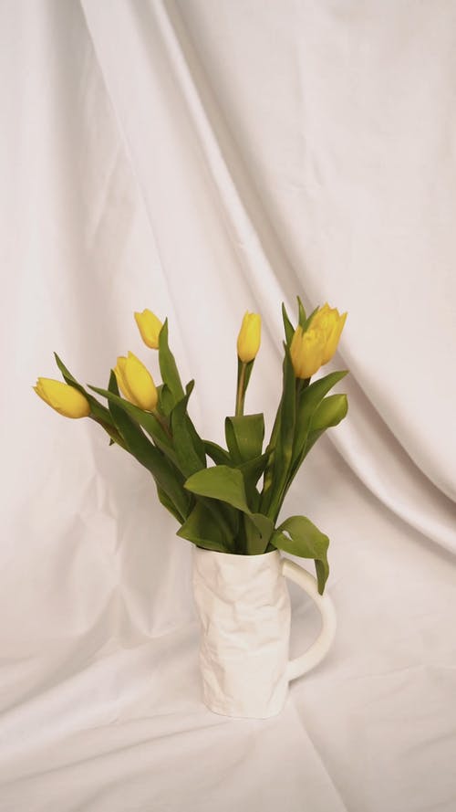 有关instagram故事, 垂直视频, 布的免费素材视频