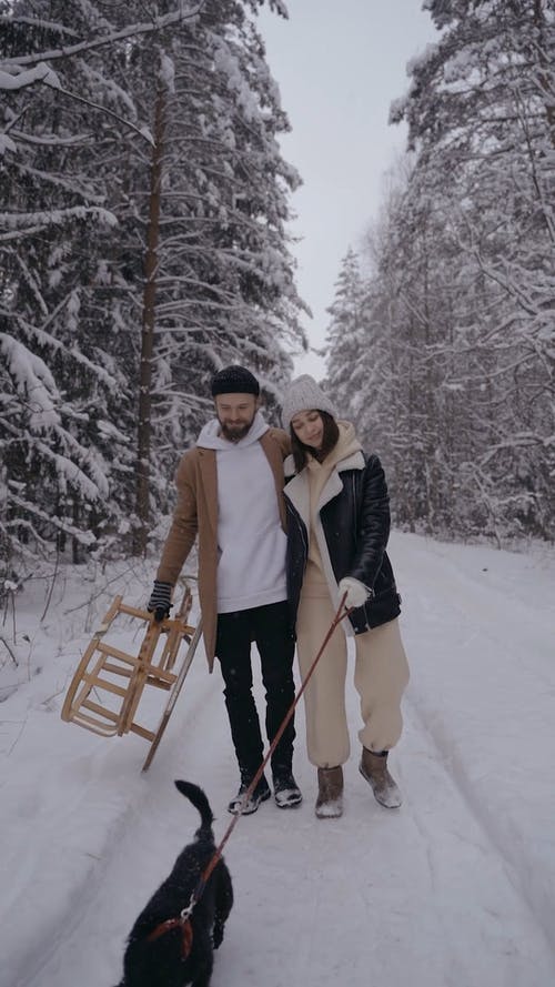 有关一对, 下雪, 人的免费素材视频