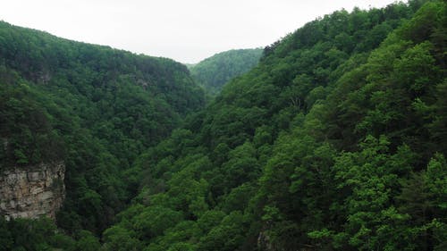 有关天性, 山, 户外的免费素材视频