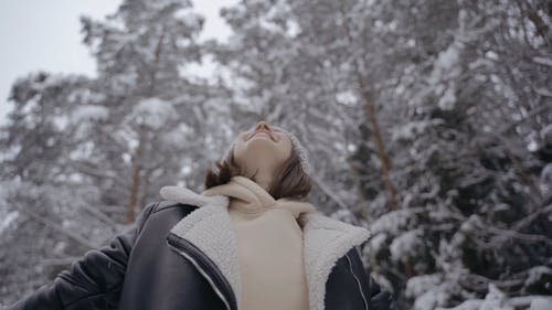 有关下雪, 下雪的, 冬季的免费素材视频