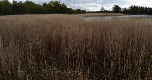 有关4k, 天性, 户外的免费素材视频
