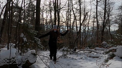 有关冬季, 冷, 冷冻的免费素材视频