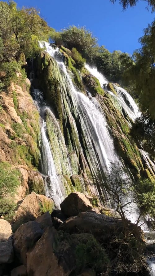 有关优美的风景, 低角度拍摄, 垂直视频的免费素材视频