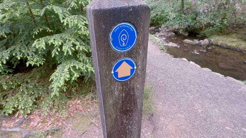 有关天性, 小径, 小河的免费素材视频