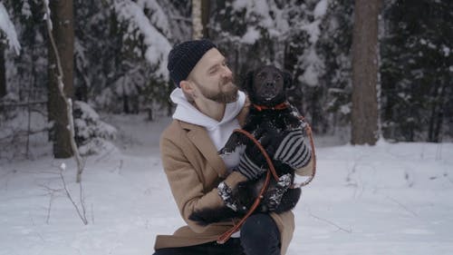 有关下雪的, 人, 冬季的免费素材视频