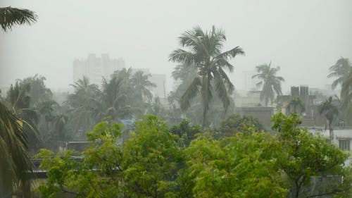 有关下雨, 危险, 台风的免费素材视频