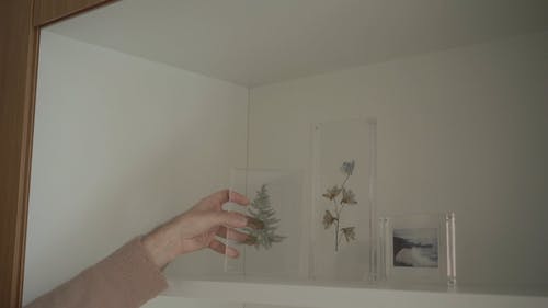 有关丙烯酸树脂, 创作的, 外框的免费素材视频