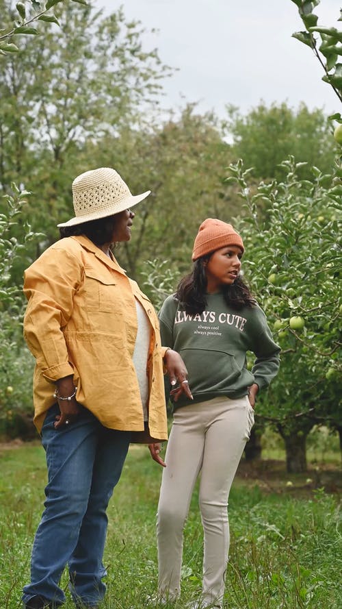 农民家庭检查他们的苹果树种植园 · 免费素材视频