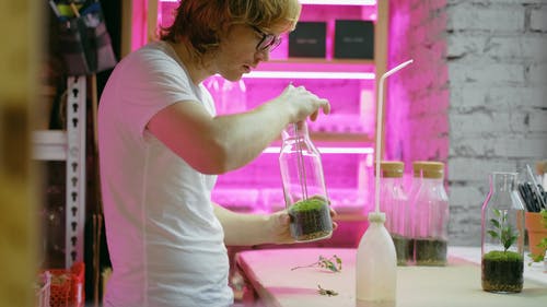 有关人, 家庭园艺, 工厂的免费素材视频