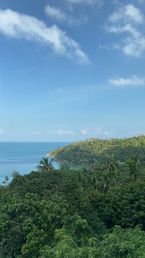 有关假期, 垂直视频, 天性的免费素材视频