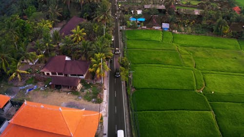 有关住宅, 城镇, 巴厘岛的免费素材视频