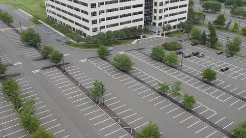 有关2020年背景, 停车场, 光秃秃的树木的免费素材视频
