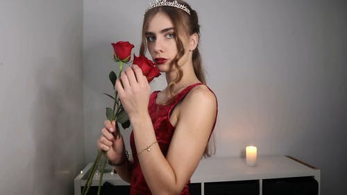 有关三朵红玫瑰, 优雅, 公主的免费素材视频