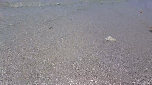有关天性, 户外, 招手的免费素材视频