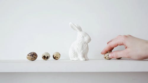 有关兔子, 室内, 小塑像的免费素材视频
