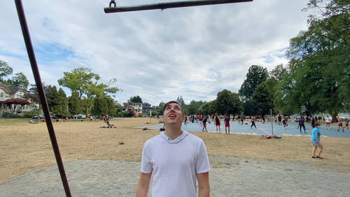 有关下巴, 公园, 夏天的免费素材视频