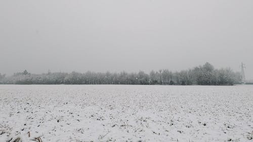 有关下雪的, 冬季, 冷的免费素材视频