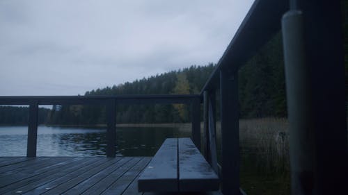 有关和平的, 天性, 户外的免费素材视频