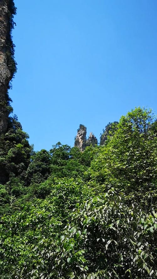 有关垂直视频, 天性, 天空的免费素材视频