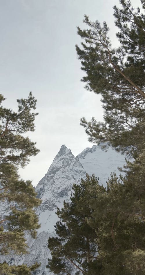 有关@户外, 下雪的天气, 冬季的免费素材视频