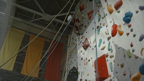 有关下降, 休闲, 信心的免费素材视频