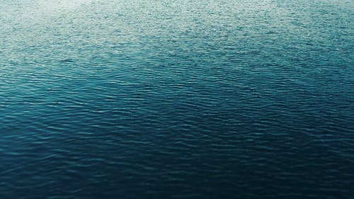 有关天性, 招手, 旅行的免费素材视频