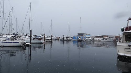 有关@户外, 下雪, 停的免费素材视频