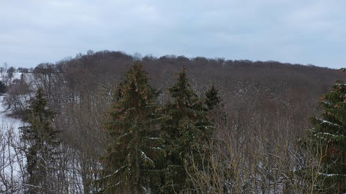 有关@户外, 下雪, 冬季的免费素材视频