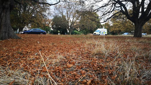 有关交通, 公车, 户外的免费素材视频