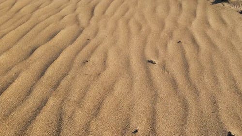 有关沙漠, 砂, 空拍机连续镜头的免费素材视频