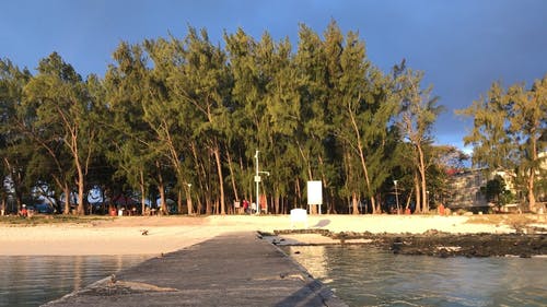 有关天性, 岸边, 平台的免费素材视频