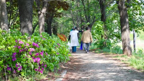 有关多风, 天性, 户外的免费素材视频