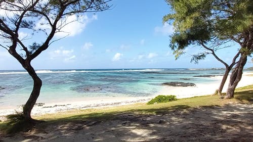 有关假期, 夏天, 天堂的免费素材视频