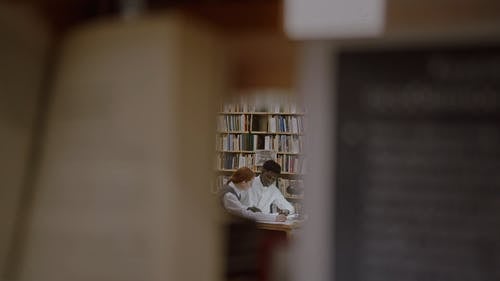 有关一对, 互联网, 同事的免费素材视频