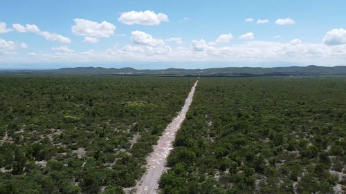 有关地平线, 天性, 平移拍摄的免费素材视频