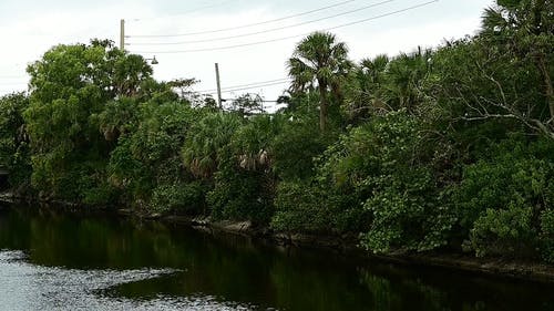 有关外观, 天性, 工厂的免费素材视频