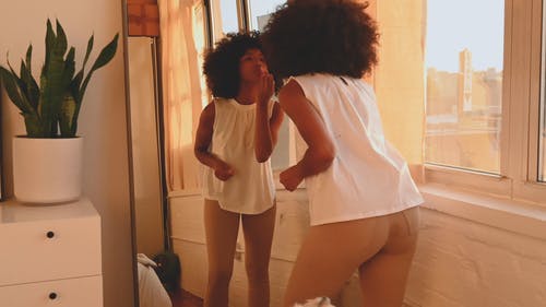 有关反射, 宠物爱好者, 室内的免费素材视频