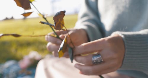 有关人, 去除, 天性的免费素材视频