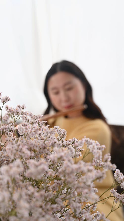 有关＃室内, 吹, 咖啡色头发的女人的免费素材视频