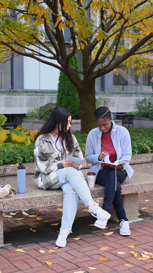 有关一起, 功课, 同学的免费素材视频