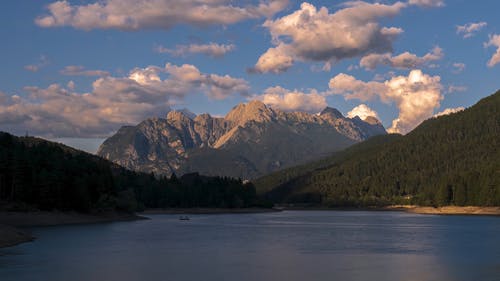 有关天性, 户外, 日光的免费素材视频