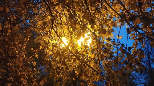 有关低角度拍摄, 光, 夜空的免费素材视频