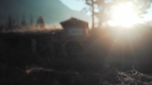 有关增长, 天性, 天空的免费素材视频