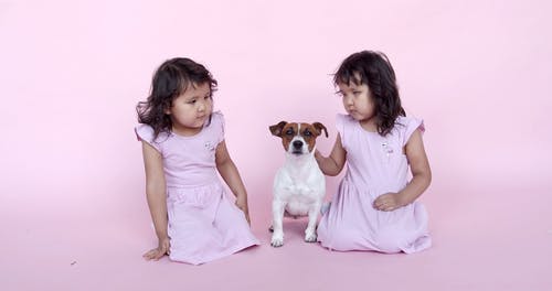 有关一起, 动物, 可爱的免费素材视频