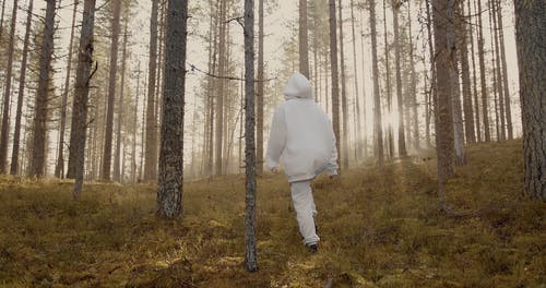 有关不露面, 光, 原本的免费素材视频