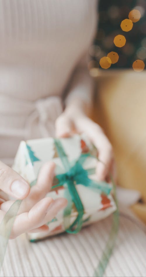 有关假日季节, 单人沙发, 坐的免费素材视频